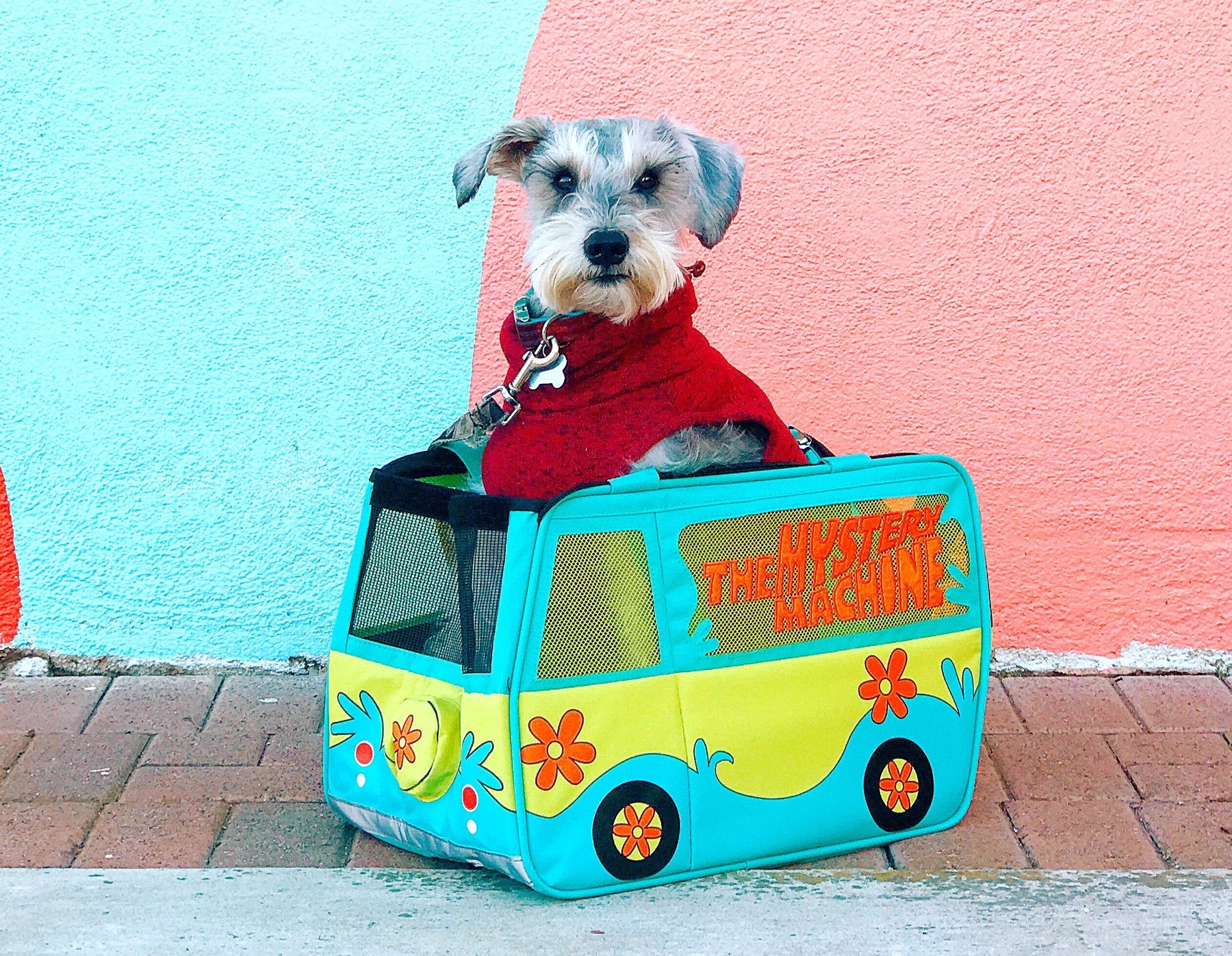 Zoinks! These Pups Have Their Own Personal Mystery Machines!