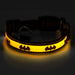 DC Comics Collar, Light Up, Batman Bat Logo Light Up Dog Collars DC Comics   