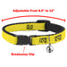 Breakaway Cat Collar with Bell - BEACH DAWG CARE ALL DOGS ARE EQUAL Navy/Oange Breakaway Cat Collars Buckle-Down   