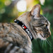 Cat Collar Breakaway - I "HEART" BACON Text Black White Red Text Breakaway Cat Collars Buckle-Down   