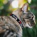 Breakaway Cat Collar with Bell - I "HEART" DILFS Black/White/Red Breakaway Cat Collars Buckle-Down   