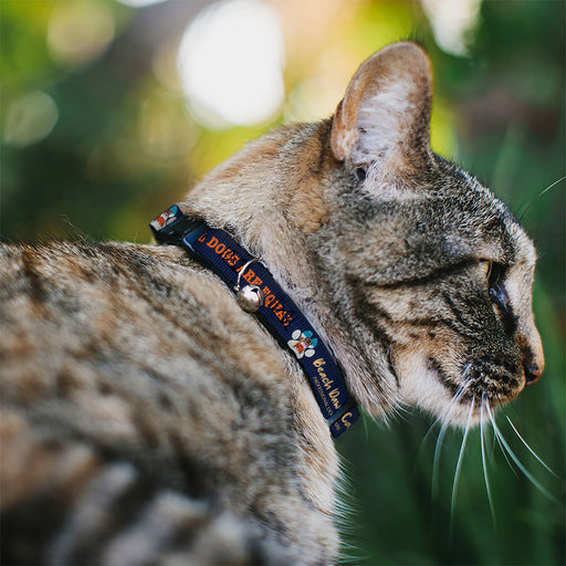 Breakaway Cat Collar with Bell - BEACH DAWG CARE ALL DOGS ARE EQUAL Navy/Oange Breakaway Cat Collars Buckle-Down   