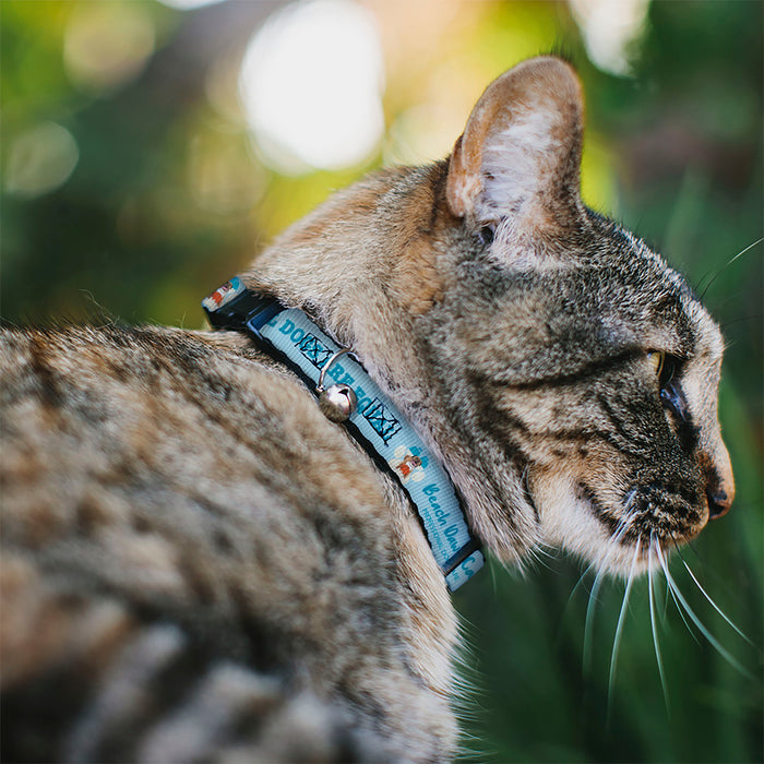 Breakaway Cat Collar with Bell - BEACH DAWG CARE ALL DOGS ARE EQUAL Blues Breakaway Cat Collars Buckle-Down   