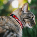 Breakaway Cat Collar with Bell - Buckle-Down REMOVE BEFORE FLIGHT Red/White Breakaway Cat Collars Buckle-Down   