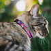 Breakaway Cat Collar with Bell - BARBIE Script Signature Logo Abstract Multi Color/White Breakaway Cat Collars Mattel   