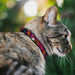 Breakaway Cat Collar with Bell - GRYFFINDOR Crest/Stripe Burgundy/Gold Breakaway Cat Collars Warner Bros.   