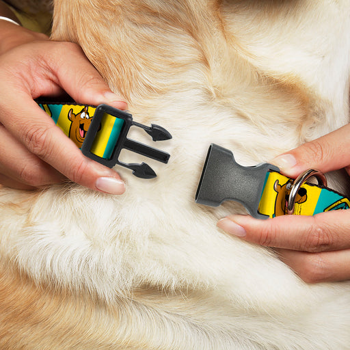 Plastic Clip Collar - Scooby Doo Pose and Dog Tag Blocks Yellow/Blue Plastic Clip Collars Scooby Doo