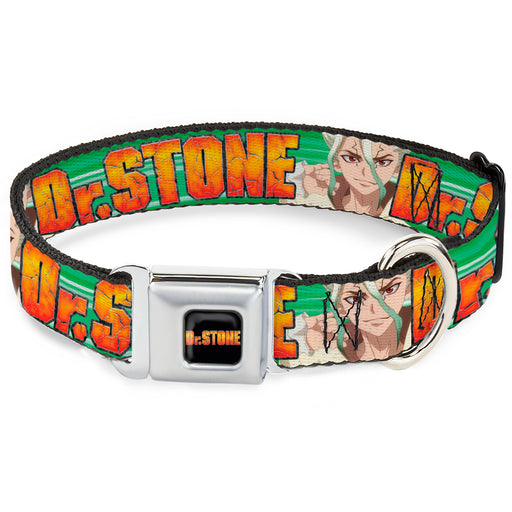 DR. STONE Title Logo Full Color Black/Orange Seatbelt Buckle Collar - DR. STONE Title Logo and Suika Face Close-Up Greens Seatbelt Buckle Collars Crunchyroll   