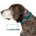 Dog Bone Seatbelt Buckle Collar - Eighties 1 Blue/Black Seatbelt Buckle Collars Buckle-Down 1.0" WIDE SMALL