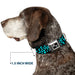 Dog Bone Seatbelt Buckle Collar - Eighties 1 Blue/Black Seatbelt Buckle Collars Buckle-Down 1.5" WIDE SMALL