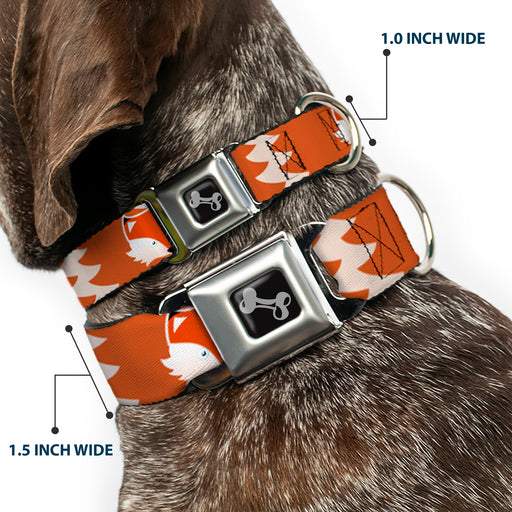 Dog Bone Seatbelt Buckle Collar - Fox Face/Tail Orange/Natural Seatbelt Buckle Collars Buckle-Down