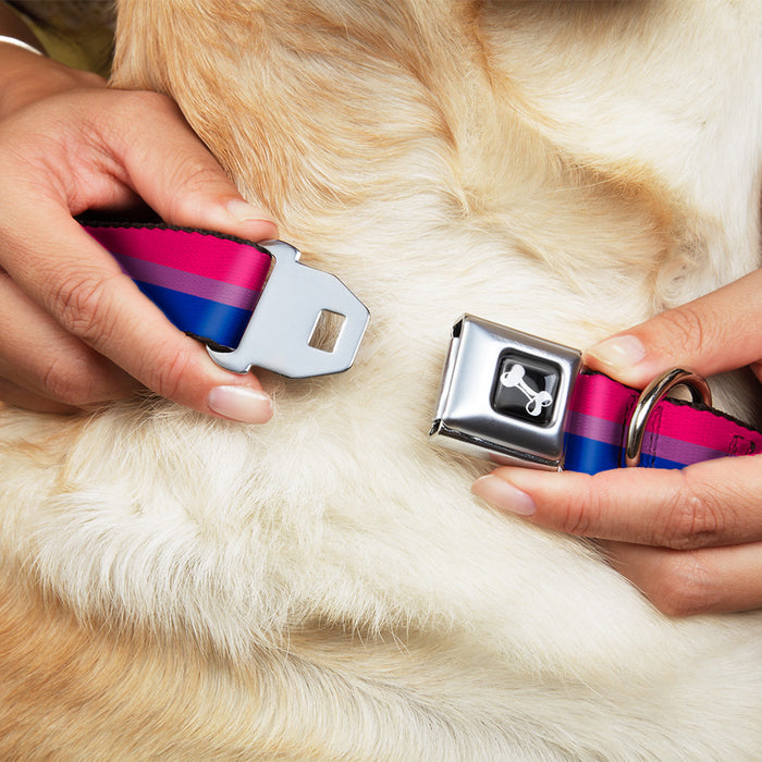 Dog Bone Seatbelt Buckle Collar - Flag Bisexual Pink/Purple/Blue Seatbelt Buckle Collars Buckle-Down