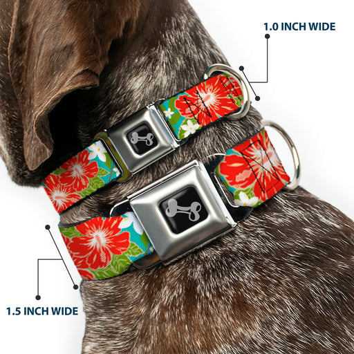 Dog Bone Seatbelt Buckle Collar - Hibiscus & Plumerias Turquoise/Green/Red/White Seatbelt Buckle Collars Buckle-Down