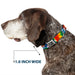 Dog Bone Seatbelt Buckle Collar - LOVE IS LOVE BD Tie Dye/White Seatbelt Buckle Collars Buckle-Down 1.0" WIDE SMALL