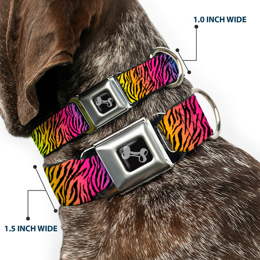 Dog Bone Seatbelt Buckle Collar - Zebra Rainbow Ombre Seatbelt Buckle Collars Buckle-Down