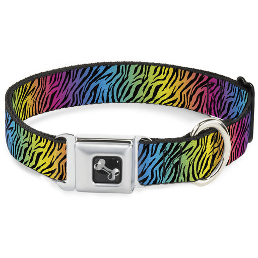 Dog Bone Seatbelt Buckle Collar - Zebra Rainbow Ombre Seatbelt Buckle Collars Buckle-Down