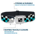 Dog Bone Seatbelt Buckle Collar - Checker Black/Ombre Turquoise Seatbelt Buckle Collars Buckle-Down