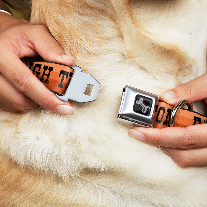 Dog Bone Black/Silver Seatbelt Buckle Collar - Dallas-Raleigh-Tennessee-Austin-Boston Stripes Browns/Black Seatbelt Buckle Collars Buckle-Down   