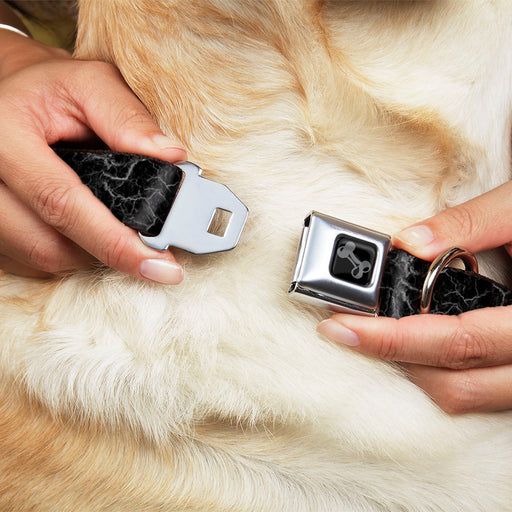 Dog Bone Black/Silver Seatbelt Buckle Collar - Marble Black/Charcoal Gray Seatbelt Buckle Collars Buckle-Down   