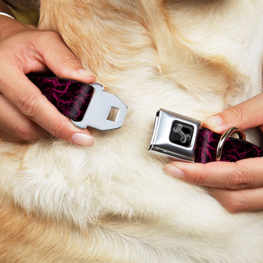 Dog Bone Black/Silver Seatbelt Buckle Collar - Marble Black/Hot Pink Seatbelt Buckle Collars Buckle-Down   