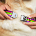 Dog Bone Seatbelt Buckle Collar - Stripes Purple/Orange/Green/Yellow/Pink/Blue Seatbelt Buckle Collars Buckle-Down