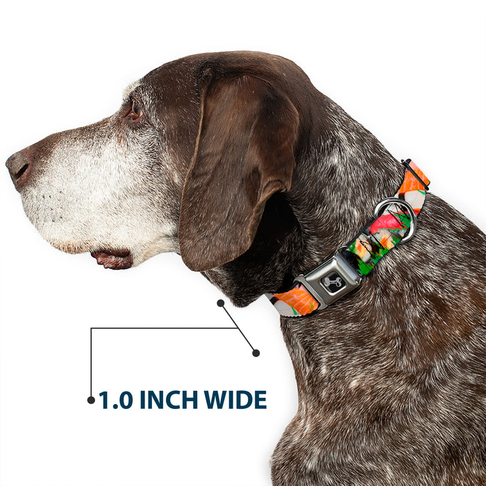 Dog Bone Seatbelt Buckle Collar - Sushi Vivid Seatbelt Buckle Collars Buckle-Down 1.0" WIDE SMALL