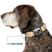 Dog Bone Black/Silver Seatbelt Buckle Collar - Bandana Paisley Ombre Pastel/Black Seatbelt Buckle Collars Buckle-Down 1.5" WIDE SMALL