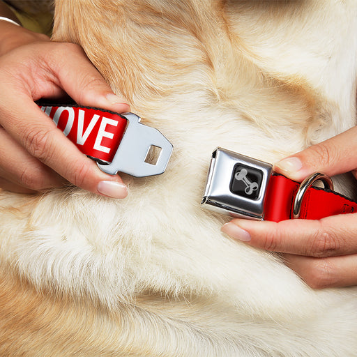 Dog Bone Black/Silver Seatbelt Buckle Collar - Buckle-Down REMOVE BEFORE FLIGHT Red/White Seatbelt Buckle Collars Buckle-Down   