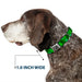 Dog Bone Seatbelt Buckle Collar - St. Pat's Stacked Shamrocks Greens Seatbelt Buckle Collars Buckle-Down 1.0" WIDE SMALL