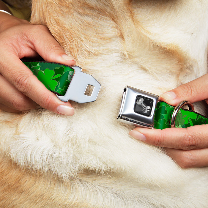 Dog Bone Seatbelt Buckle Collar - St. Pat's Stacked Shamrocks Greens Seatbelt Buckle Collars Buckle-Down