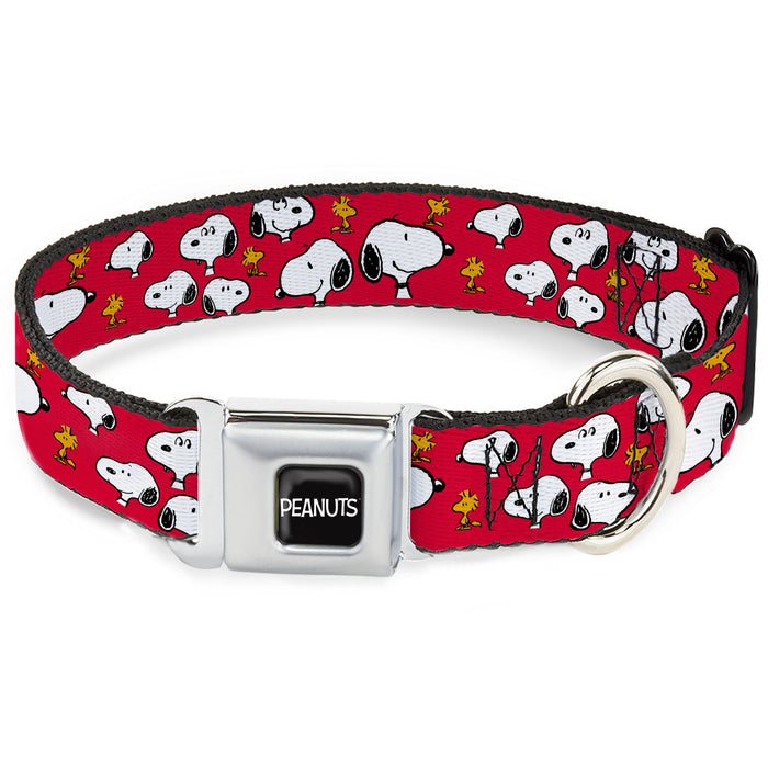 PEANUTS Title Logo Full Color Black/White Seatbelt Buckle Collar - Peanuts Snoopy and Woodstock Poses Scattered Red Seatbelt Buckle Collars Peanuts Worldwide LLC   