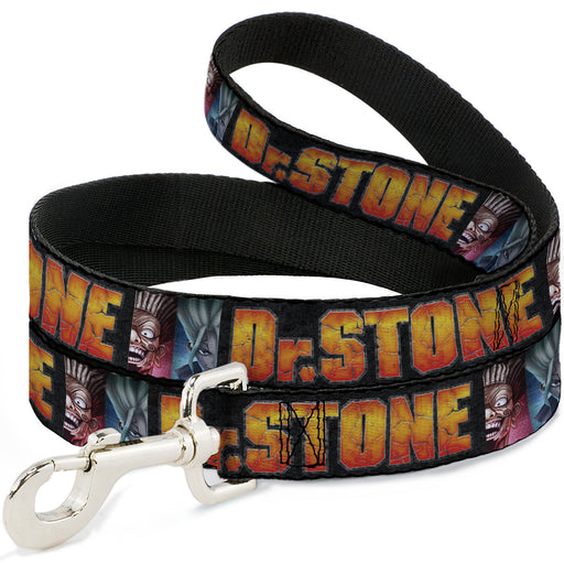 Dog Leash - DR. STONE Title Logo and Ibarra Suika Split Pose Black Dog Leashes Crunchyroll   