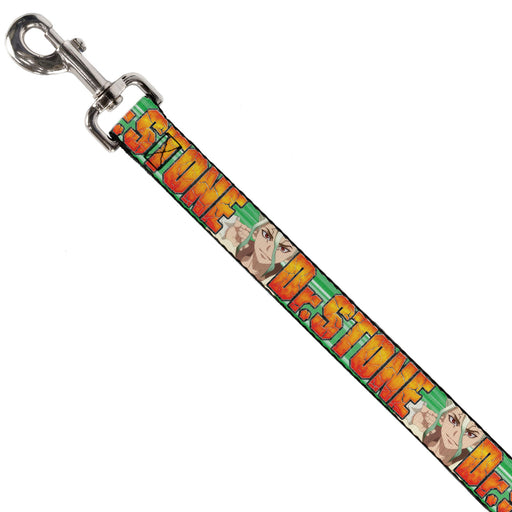 Dog Leash - DR. STONE Title Logo and Suika Face Close-Up Greens Dog Leashes Crunchyroll   