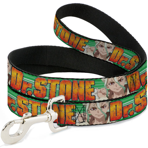 Dog Leash - DR. STONE Title Logo and Suika Face Close-Up Greens Dog Leashes Crunchyroll   