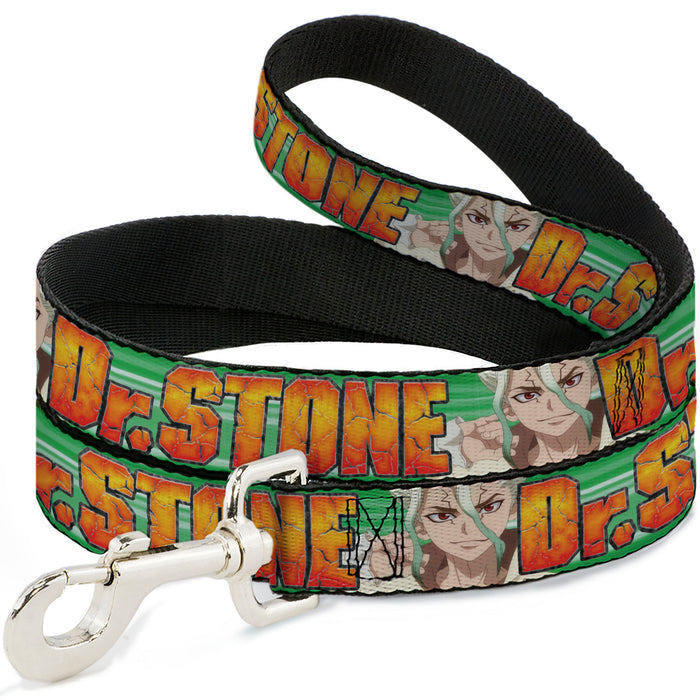 Dog Leash - DR. STONE Title Logo and Suika Face Close-Up Greens Dog Leashes Crunchyroll   