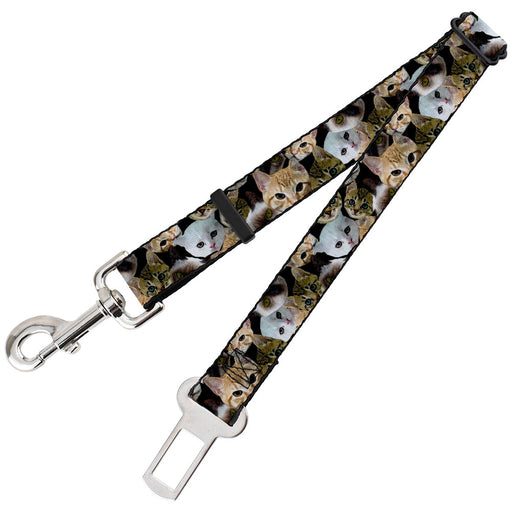 Dog Safety Seatbelt for Cars - Kitten Faces Scattered Black Dog Safety Seatbelts for Cars Buckle-Down   