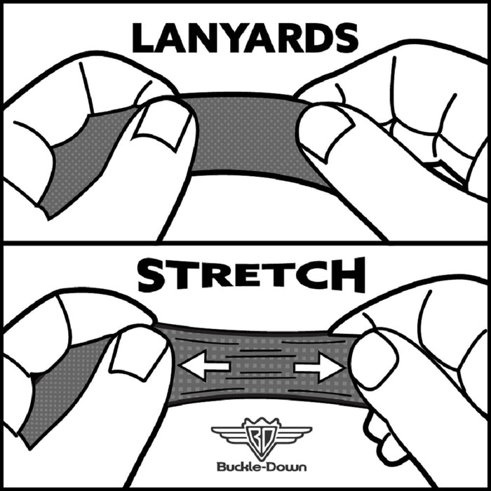 Lanyard - 1.0" - DEXTER'S LABORATORY Title Logo and Dexter Pose Blues/Yellow/Black Lanyards Warner Bros. Animation   