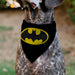 Pet Bandana - Batman Shield Logo Black/Yellow Pet Bandanas DC Comics   