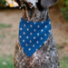 Pet Bandana - Bandana BETTY BOOP Americana Soldier Salute Pose Logo and Stars Blue/White Pet Bandanas Fleischer Studios, Inc.   