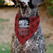 Pet Bandana - Bandana BETTY BOOP Face and Text Polka Dot Reds/Black/White Pet Bandanas Fleischer Studios, Inc.   