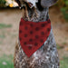 Pet Bandana - Bandana BETTY BOOP Face and Text Polka Dot Reds/Black/White Pet Bandanas Fleischer Studios, Inc.   