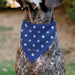 Pet Bandana - Bandana Betty Boop USA Heart Pose Polka Dot/Face Blue/White Pet Bandanas Fleischer Studios, Inc.   