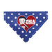 Pet Bandana - Bandana Betty Boop USA Heart Pose Polka Dot/Face Blue/White Pet Bandanas Fleischer Studios, Inc.   