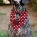 Pet Bandana - Bandana BETTY BOOP Seated Leg Kick Pose and Text Hearts Red/White Pet Bandanas Fleischer Studios, Inc.   