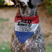 Pet Bandana - Bandana Betty Boop RED WHITE & BOOP Pose Americana Stripe Red/White/Blue/Black Pet Bandanas Fleischer Studios, Inc.   