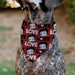 Pet Bandana - Betty Boop LOVE Text and Face Red/Black/White Pet Bandanas Fleischer Studios, Inc.   