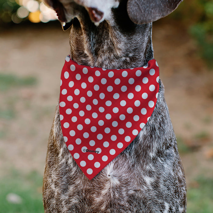 Pet Bandana - MINNIE MOUSE Autograph Script Polka Dot Red/White Pet Bandanas Disney   