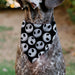 Pet Bandana - The Nightmare Before Christmas Jack Expressions Scattered Black/White Pet Bandanas Disney   