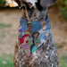 Pet Bandana - Disney Five Princesses Group Pose and Flowers Blues Pet Bandanas Disney   