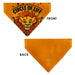 Pet Bandana - The Lion King Young Simba CIRCLE OF LIFE Pose Oranges/Black Pet Bandanas Disney